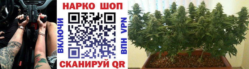 Купить закладку Бошки Шишки Псилоцибиновые грибы ГАШИШ Меф COCAIN Нефтекумск