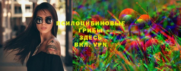 шишки Усинск