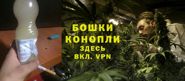 шишки Усинск